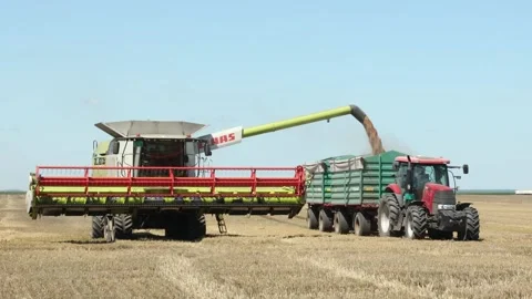 Wheat being poured into a container connected to a tractor 스톡 동영상 142516448