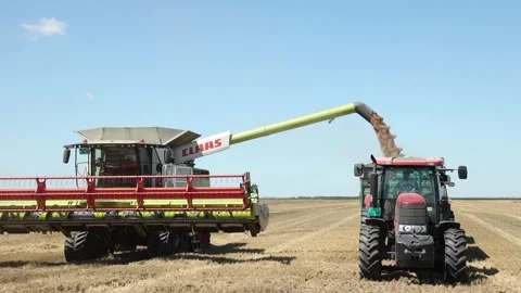 Wheat being poured into a container 스톡 동영상 142516543