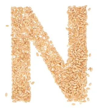 Wheat berries Stock Photos