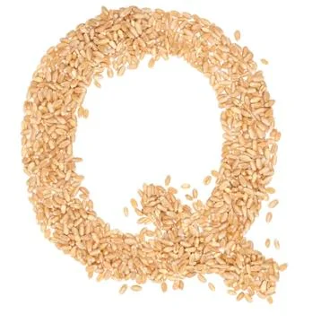 Wheat berries Stock Photos