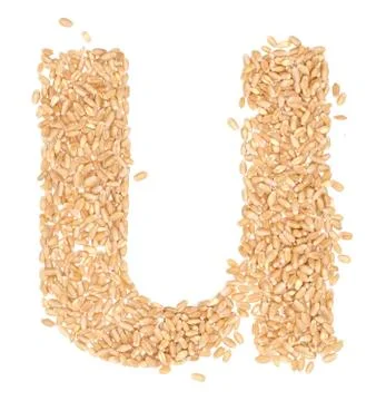 Wheat berries Stock Photos