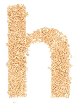 Wheat berries Stock Photos