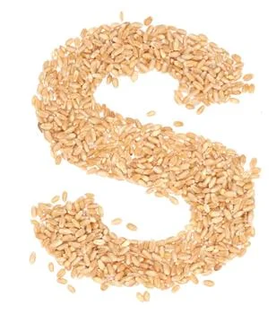 Wheat berries Stock Photos