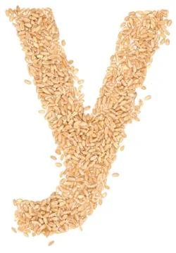 Wheat berries Stock Photos