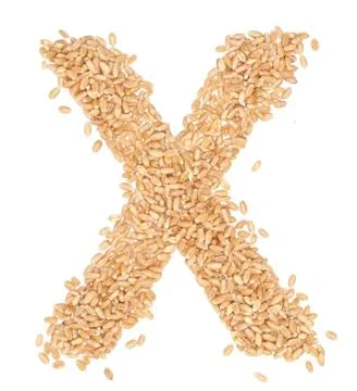 Wheat berries Stock Photos