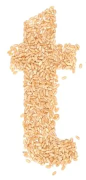 Wheat berries Stock Photos