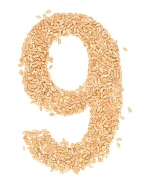 Wheat berries. Stock Photos