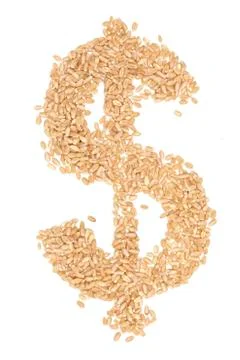 Wheat berries Stock Photos