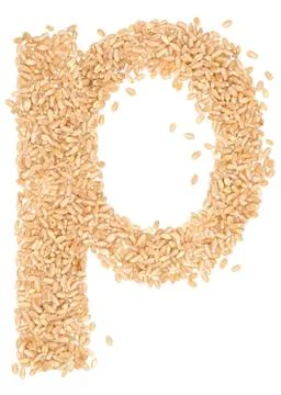 Wheat berries Stock Photos