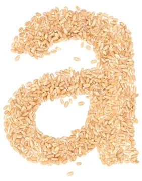 Wheat berries Stock Photos