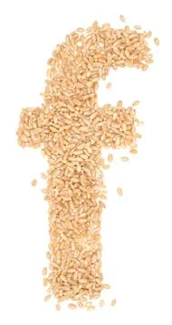 Wheat berries Stock Photos