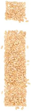 Wheat berries Stock Photos
