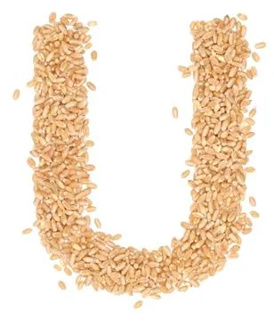 Wheat berries Stock Photos