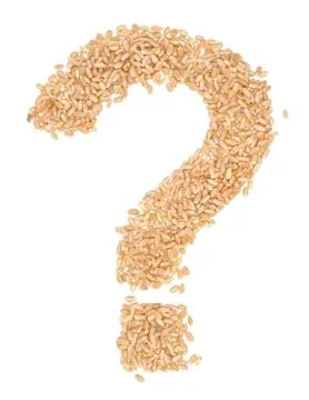 Wheat berries Stock Photos