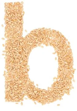 Wheat berries Stock Photos