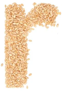 Wheat berries Stock Photos