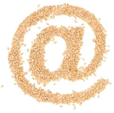 Wheat berries Stock Photos