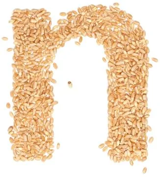Wheat berries Photos