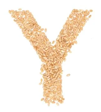 Wheat berries Stock Photos