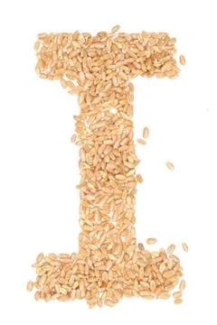 Wheat berries Stock Photos