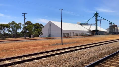 Wheat bins grain storage silos along railroad at train station in Wheatbelt Stock Footage 309205265