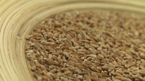 Wheat BIO 1 Vídeos de archivo 23246261