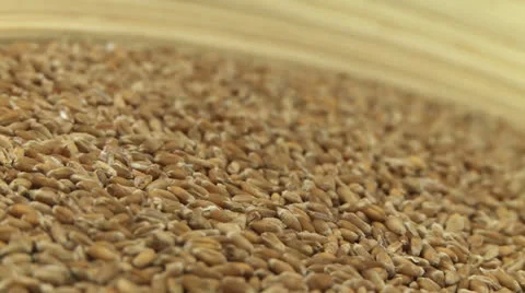 Wheat BIO 2 Stock-Footage 23247099