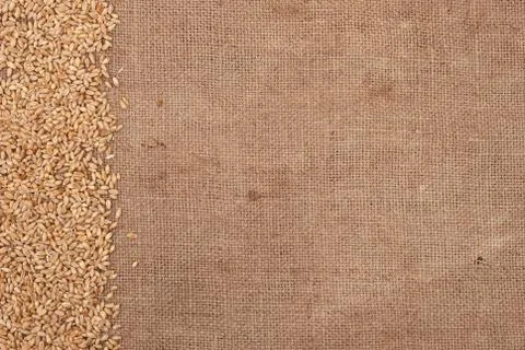 Wheat border on burlap background Stock Photos