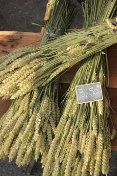 Wheat bouquets Stock Photos