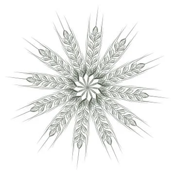 Wheat bread ears cereal crop sketch line art style. Geometrical circle vector Stock Illustration