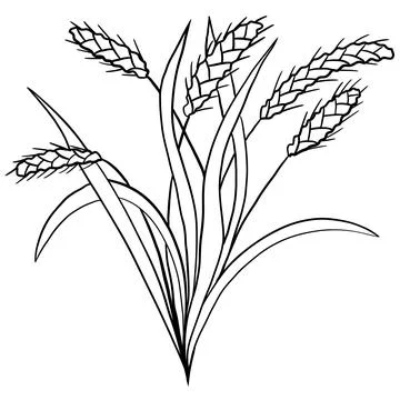 Wheat bread harvest, baking bakery concept. Floral illustration with long leaves Stock Illustration