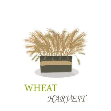 Wheat bucket Stock Illustration