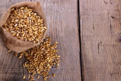 Wheat in burlap sack Stock Photos