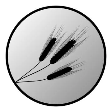 Wheat button Stock Illustration
