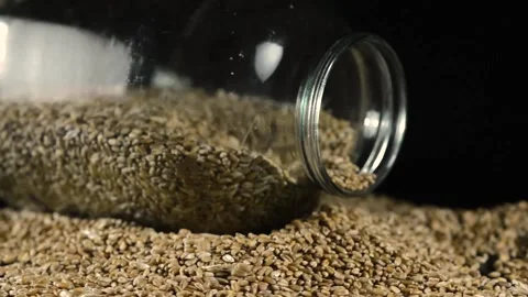 Wheat in a can on a black background Vídeo Stock 154427657