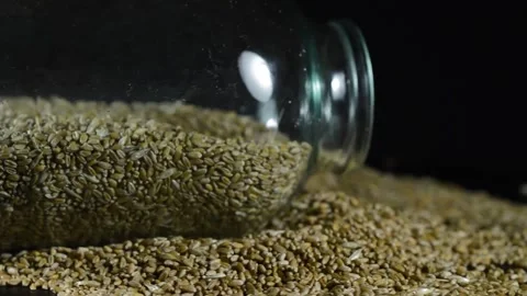 Wheat in a can on a black background Stock Footage 154427661