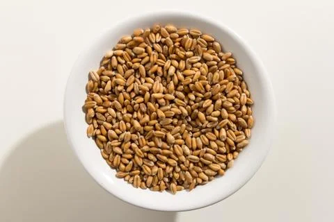 Wheat cereal grain. Top view of grains in a bowl. White background. Stock Photos