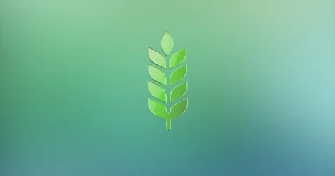 Wheat Color 3d Icon Video stock 76955801