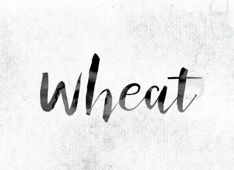 Wheat Concept Painted in Ink Stock Illustration