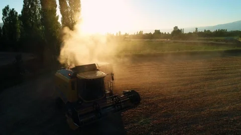 Wheat Countryside Stock Footage 340779167