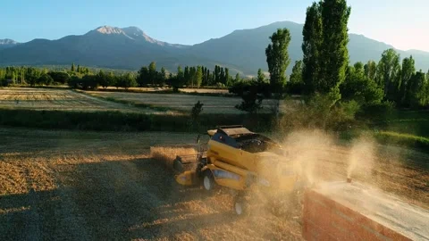Wheat Crop Stock Footage 340779288