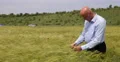 Wheat Crop Owner Check Quality Harvest Examine Cereal Plants Growth Agriculture 4k or 4k+ Resolution