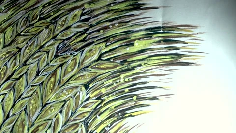 Wheat drawing Stock-Footage 155014205