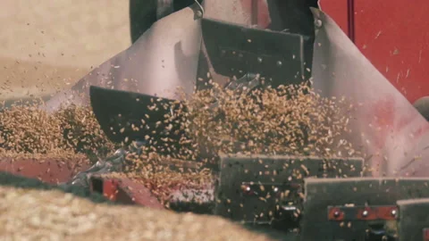 Wheat drying process Stock Footage 157997184