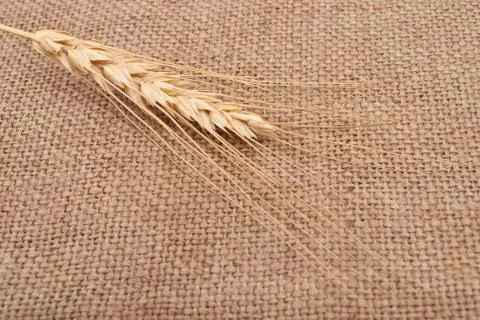 Wheat ear on burlap background Stock Photos