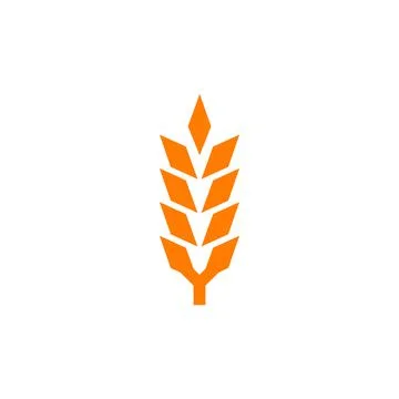 Wheat ear ears icons set. Vector illustration isolated on white background. Stock Illustration