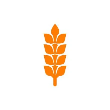 Wheat ear ears icons set. Vector illustration isolated on white background Illustrazione stock