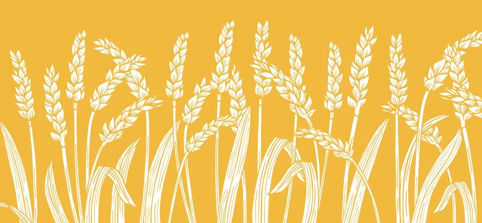 Wheat ear engraved border background cereals ripe spike frame pattern Design Stock Illustration