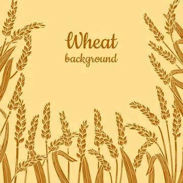 Wheat ear golden frame background design template cereals ripe spike wheat Stock Illustration