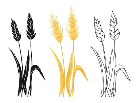 Wheat ear hand drawn set grain sign doodle silhouette cartoon flat cereals Stock Illustration